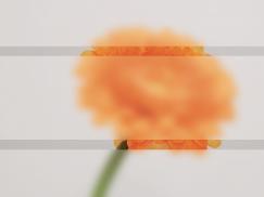 Broschüren und Dekorglas Sandstrahlmotiv Klarglas 2 Streifen horizontal. Kataloge, Corporate Design,  Aktion 2022,  Haustüren,  PaXentrée Aluminium